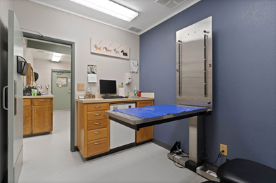 Dog Large Exam Room With Lift Table